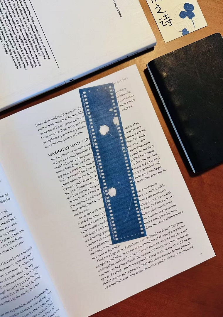 蓝晒书签 Cyanotype Bookmark:用光影记录夏日植物之美