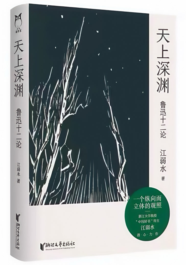 天上深渊:鲁迅十二论