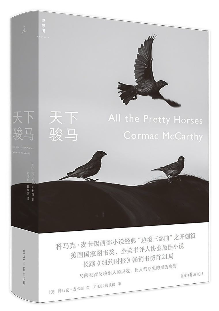 天下骏马(边境三部曲 第一部)
