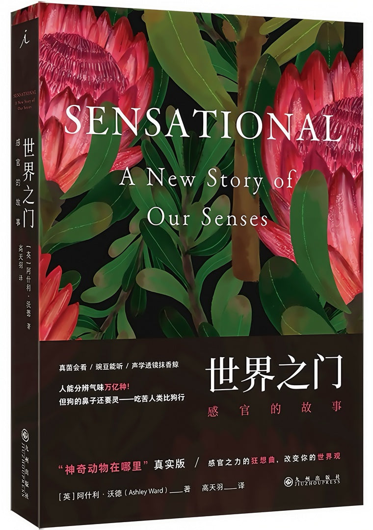 世界之门:感官的故事