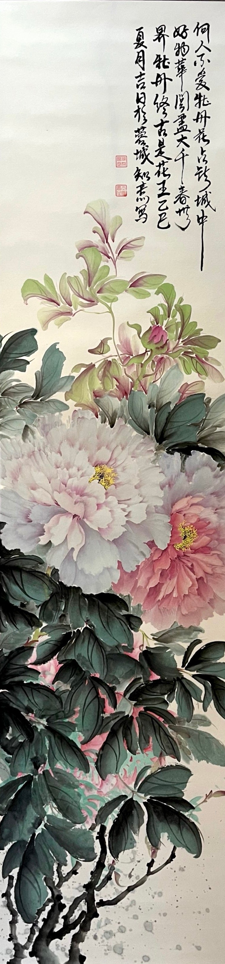 【水墨国画】牡丹｜物华天宝