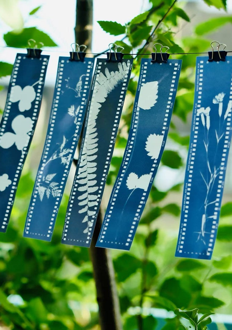 蓝晒书签 Cyanotype Bookmark：用光影记录夏日植物之美